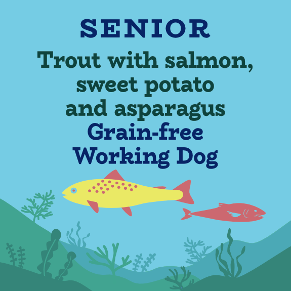 Senior light trout, salmon, sweet potato with asparagus for working dogs
