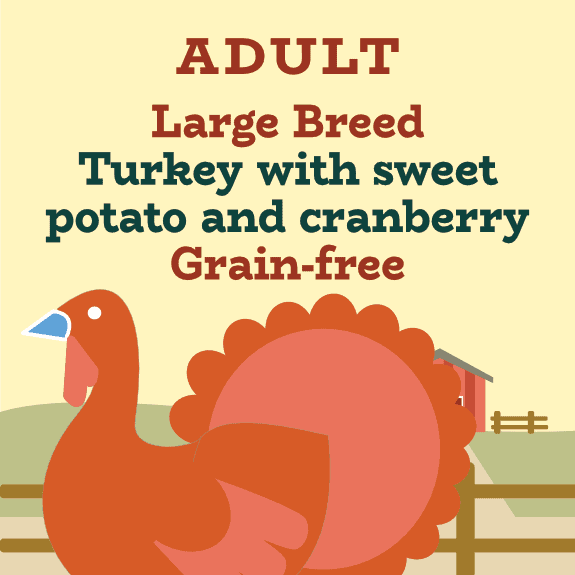 Large breed grain-free turkey and cranberry for sensitive digestions