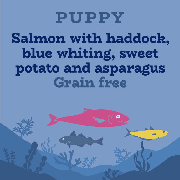 Best fish based puppy food best sale