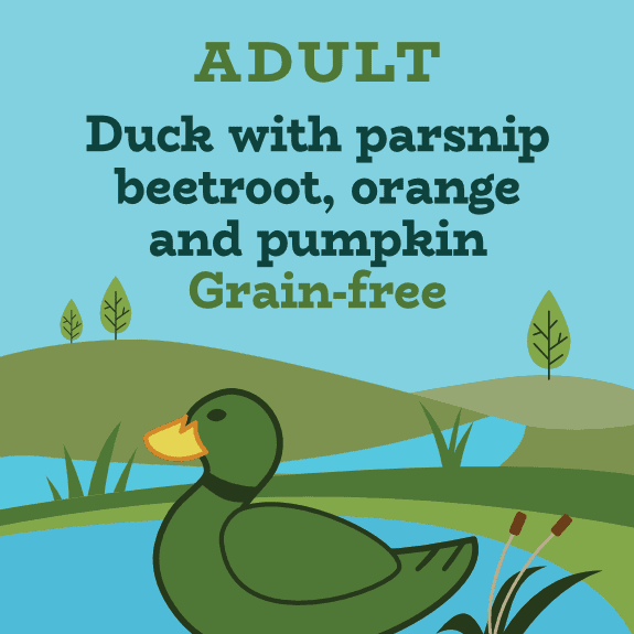 Legume-free and grain-free Duck with Parsnip, Beetroot, Orange, Asparagus, Pumpkin