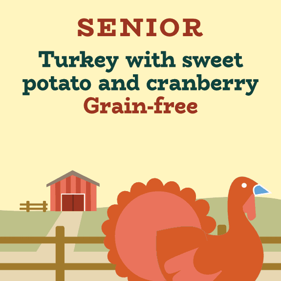 Grain-Free Senior Dog Food with Turkey & Sweet Potato for Joint Health